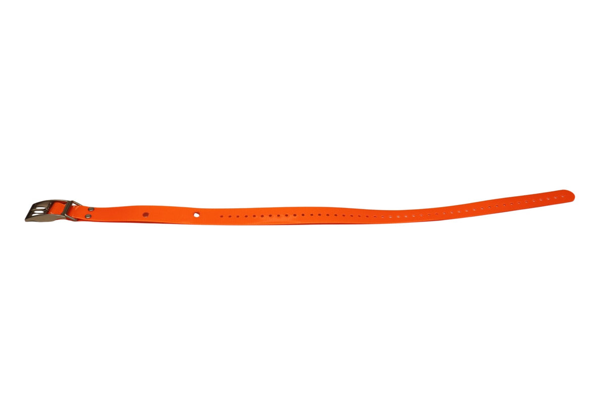 Full-length view of 26.5 inch Garmin DC40 orange replacement collar strap