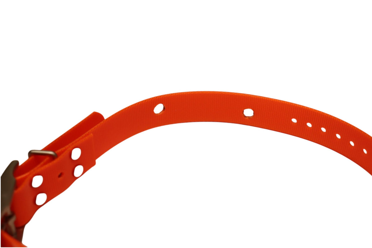 Garmin DC40 orange collar strap showing pre-drilled receiver mounting hole pattern