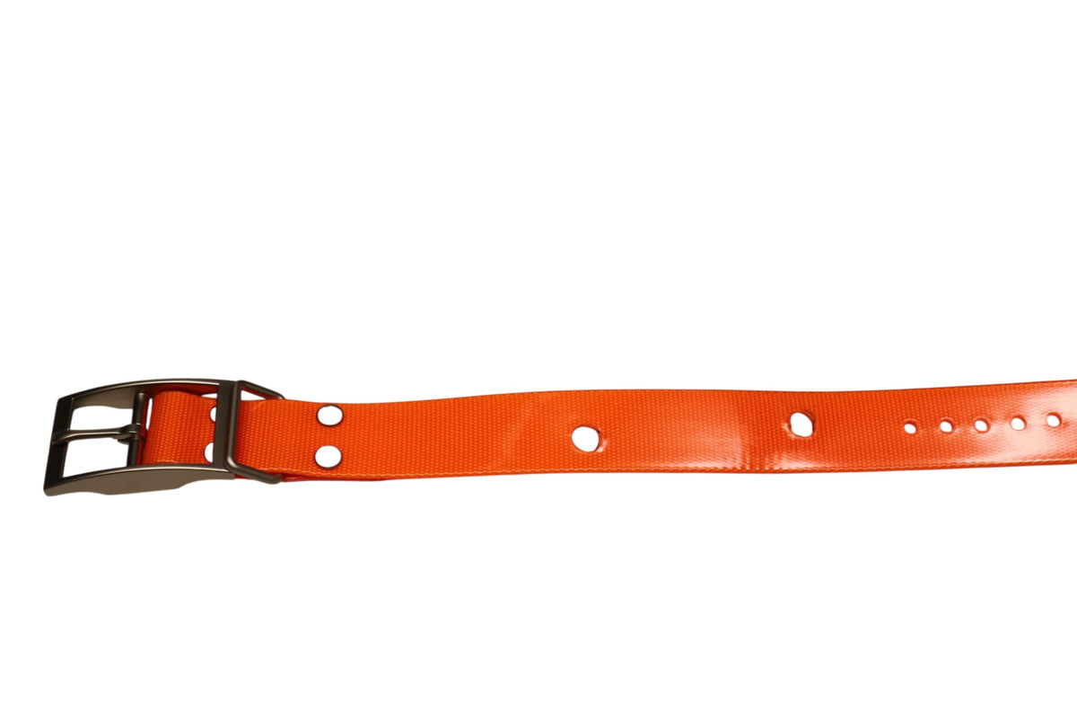 Orange Garmin DC40 replacement collar strap showing receiver mounting holes and buckle